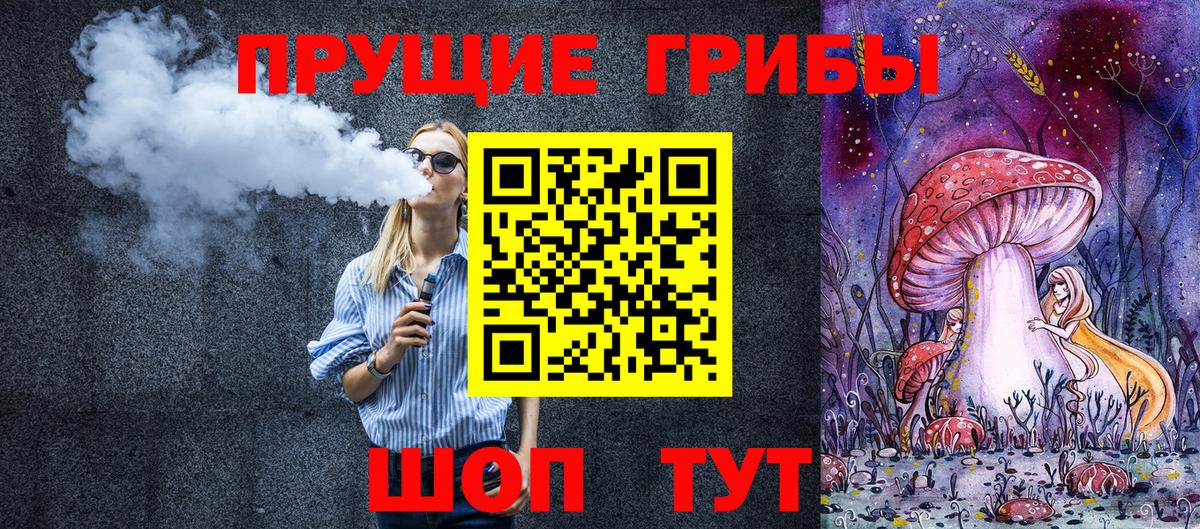 Псилоцибиновые грибы Cubensis  Вход с VPN  Мурино 
