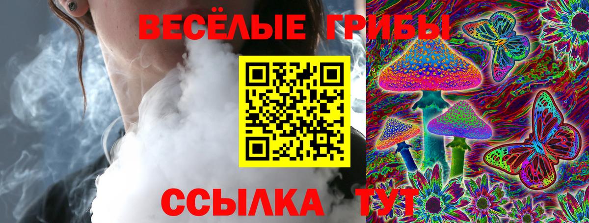 Псилоцибиновые грибы ЛСД Мурино